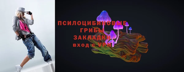 apvp Ладушкин