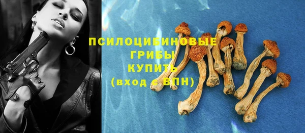 мдпв Лагань