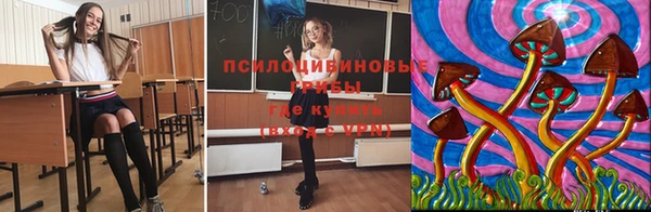 apvp Ладушкин