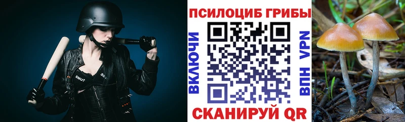 Псилоцибиновые грибы Magic Shrooms  где купить наркотик  Сковородино 