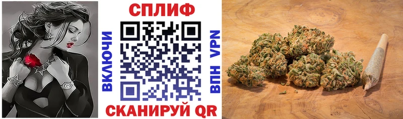 Каннабис индика Сковородино